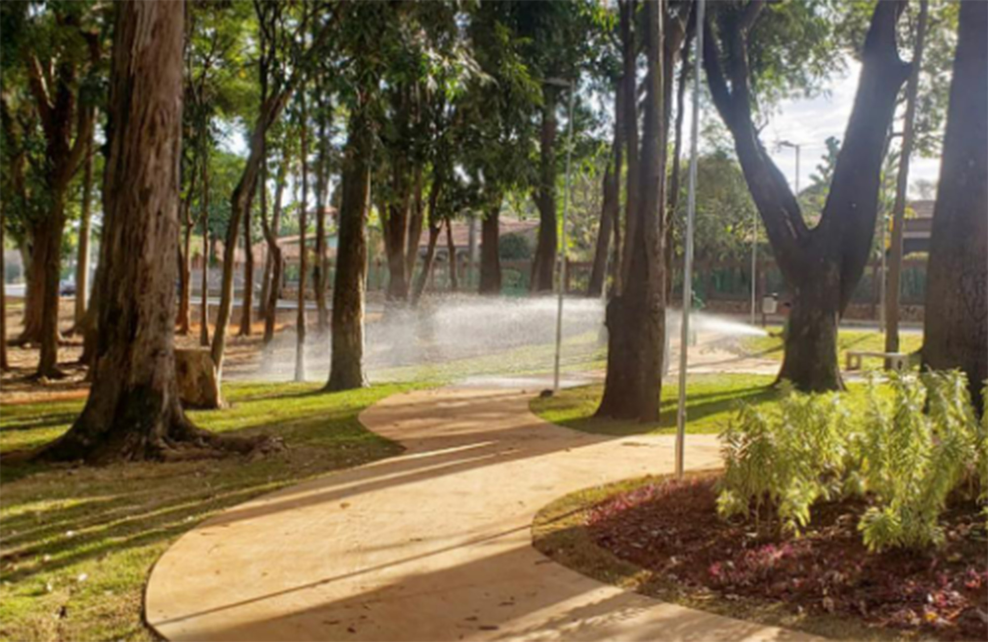 Descubra a história fascinante do naturalista Peter Lund e suas incríveis descobertas arqueológicas