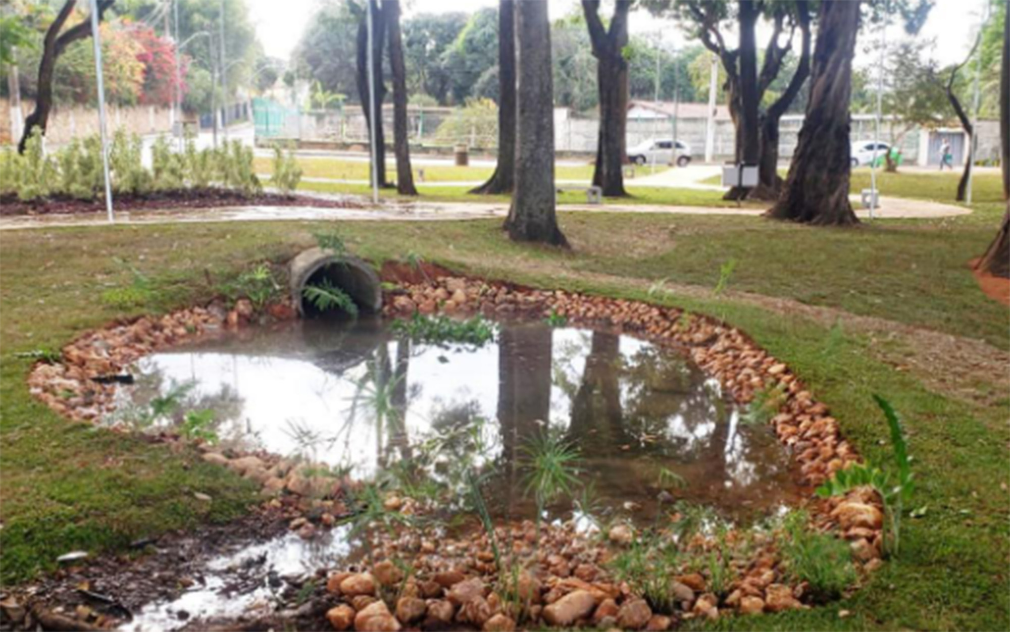 Descubra a fascinante trajetória de Peter Lund – o naturalista dinamarquês que revolucionou Lagoa Santa