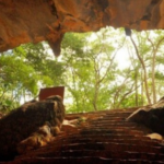 Gruta Lapinha – Arq. Tribaes