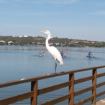 Deck Lagoa central -  Aut.: Victor Silva